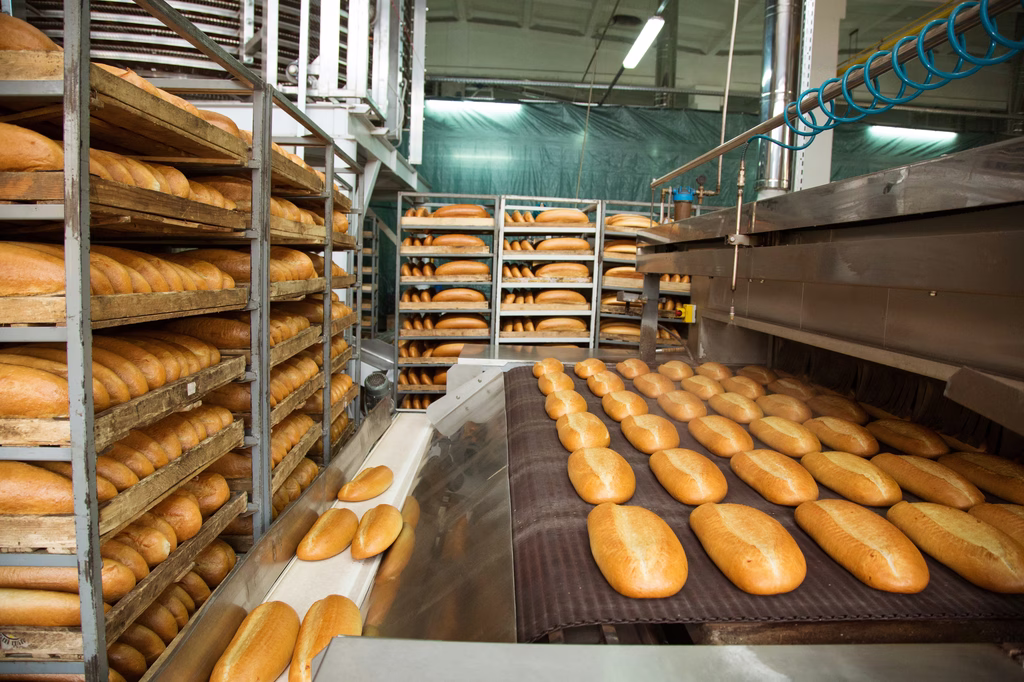 Food & Beverage sector.